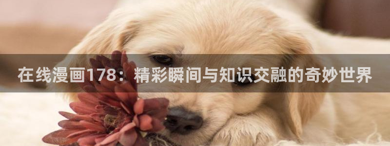 歪歪漫画网站动漫