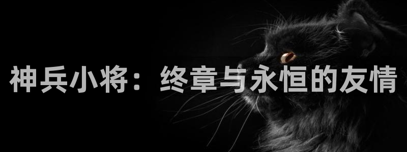 黄歪歪漫画：神兵小将：终章与永恒的友情